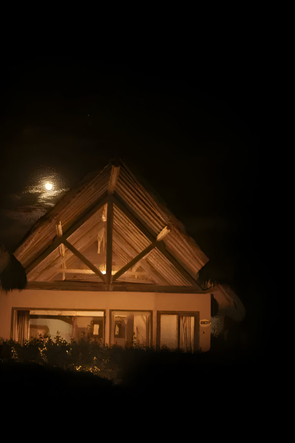 Jungle Lodge - Image 2