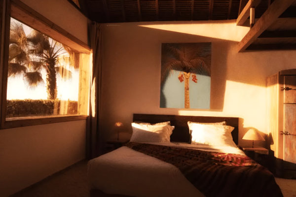 Jungle Lodge